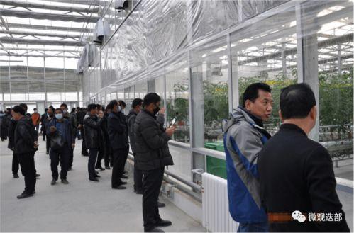 兰州新区吃瓜事件,一场网络热议背后的真相与反思