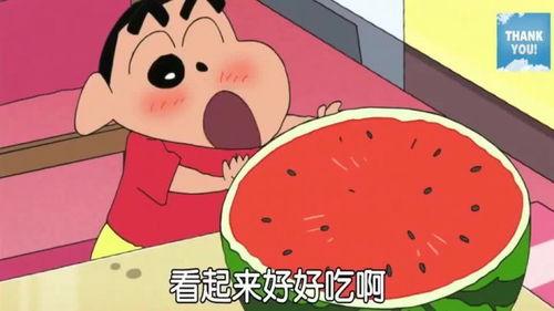 蜡笔小新爸爸吃瓜,小新爸爸的“瓜”界奇遇记