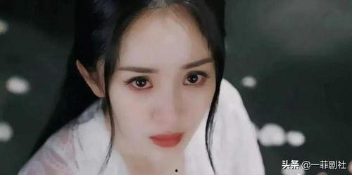 明星眼神吃瓜,一场视觉盛宴下的吃瓜大戏