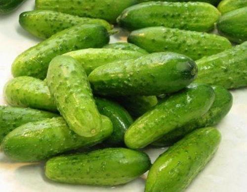 秋天爸爸吃瓜,爸爸的甜蜜时光