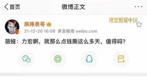 yandex吃瓜网站,揭秘网络热点背后的真相与趣味