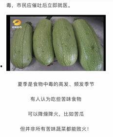 梦见吃白瓜烂了,白瓜烂了背后的寓意与启示