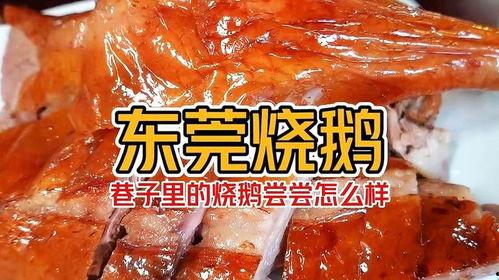 吃瓜鹅课代表,揭秘娱乐圈幕后故事