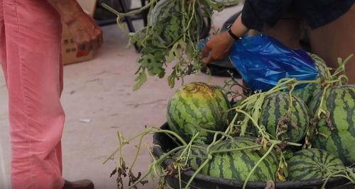 天选吃瓜选手,揭秘娱乐圈幕后风云