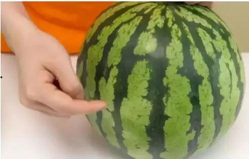 51吃瓜咋没了,揭秘神秘消失背后的真相