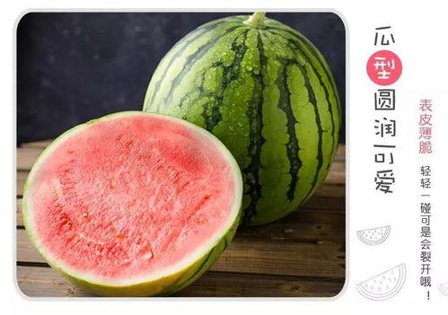 彩虹糖甜蜜吃瓜,吃瓜乐趣无限