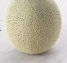 吃瓜销售lv,探寻吃瓜与奢华的完美邂逅