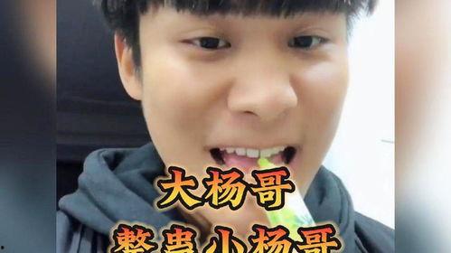 大杨哥吃瓜短剧,揭秘娱乐圈背后的秘密与笑料