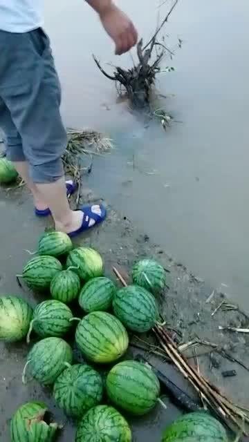 散步吃瓜的群众,揭秘生活百态