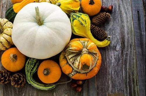 围炉吃瓜作品,揭秘娱乐圈背后的故事与真相