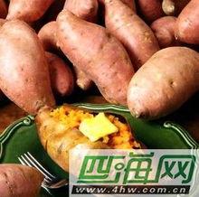 坐月子可以吃土瓜,土瓜的营养价值与食用指南