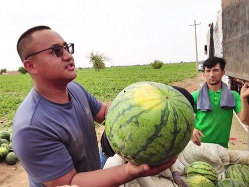 罗海吃瓜,揭秘娱乐圈背后的那些事儿