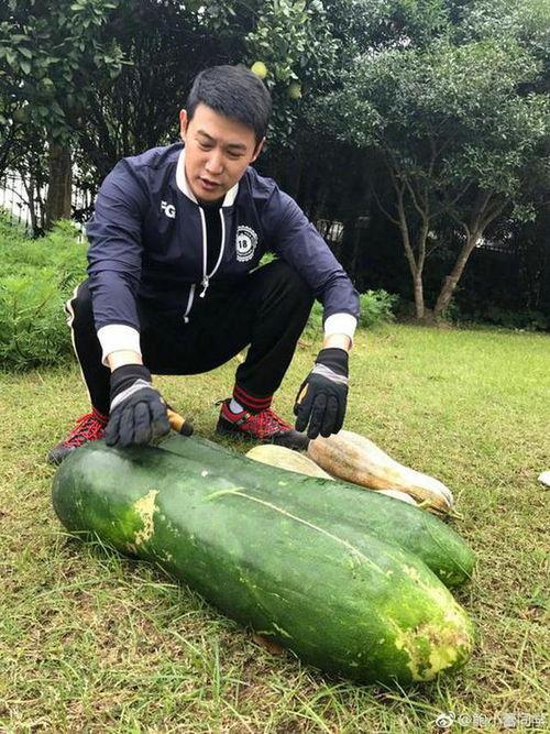 曹县吃瓜事件照片,一场网络狂欢背后的真相与反思