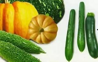 老式瓜怎么吃,解锁传统美味新体验