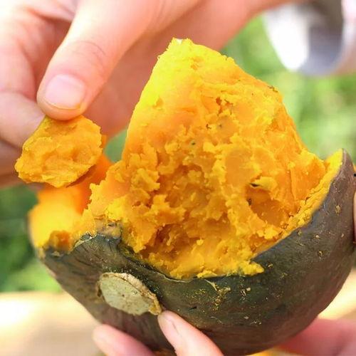 小练笔吃瓜,一场别开生面的吃瓜盛宴