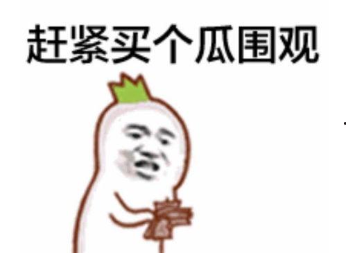 九块九吃瓜群众,揭秘网络热点的幕后故事