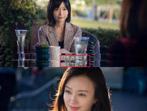 吃瓜看剧小说,跟随小说探寻娱乐圈的繁华与喧嚣