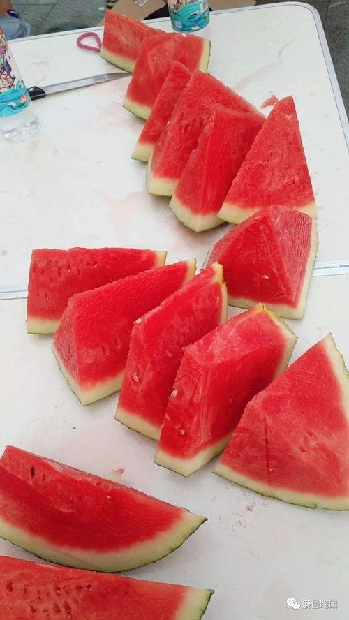 吃瓜每日大赛在线吃瓜