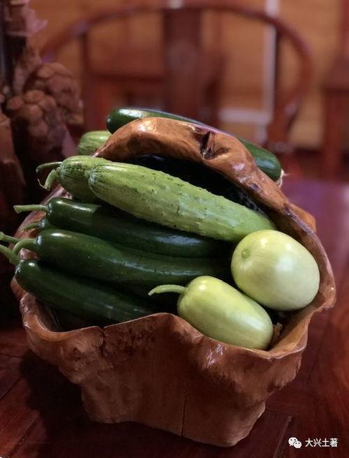 呼和浩特网红吃瓜,揭秘城市美食圈的热议焦点