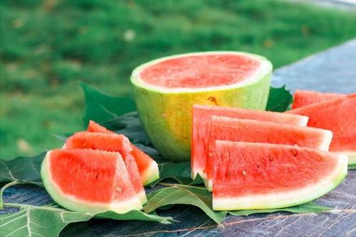 吃瓜种桃,揭秘农业新风尚与休闲农业融合之道