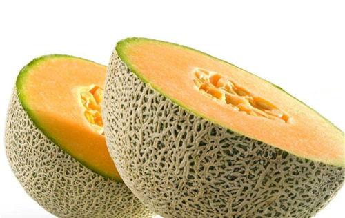 天冷吃哈密瓜光想尿,哈密瓜引发的尿意之谜”