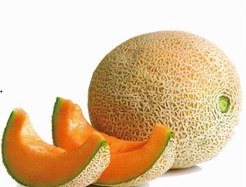 天冷吃哈密瓜光想尿,哈密瓜引发的尿意之谜”