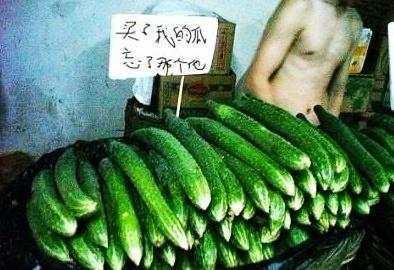 朱雀在桥边吃瓜