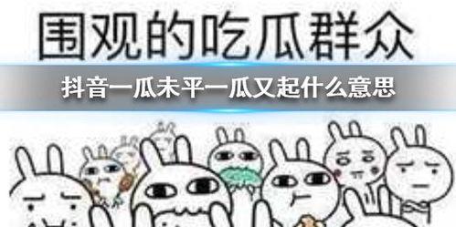 抖音免费吃瓜链接,一键解锁海量瓜果盛宴！