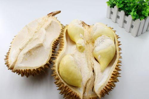 大瓜头蛙吃榴莲,大瓜头蛙的榴莲美食之旅