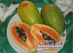 吃瓜图片图集最新,趣味横生的瞬间捕捉