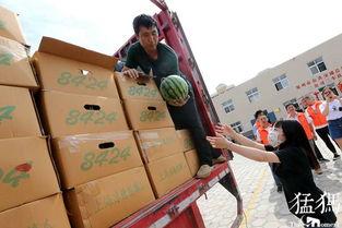 梦见在公交车上吃瓜,一场奇幻味蕾之旅