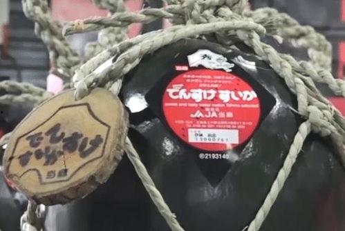 黑皮瓜让不让吃,揭秘其食用争议，究竟可否放心品尝？