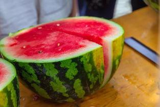 大学画画教室吃瓜,一场别开生面的绘画课堂