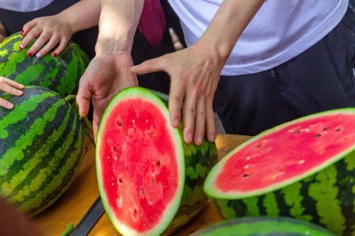 大学画画教室吃瓜,一场别开生面的绘画课堂