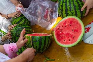 吃瓜吃干净视频大全在线观看,一网打尽，尽享欢乐时光！