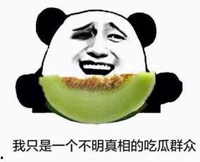 挤不下吃瓜群众,吃瓜群众挤不下的火爆现场