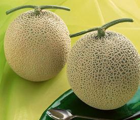 吃哈密瓜舌头麻,揭秘哈密瓜为何让人舌头发麻