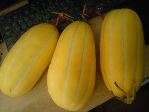 吃一个瓜送一个瓜,一瓜送双瓜，共享甜蜜滋味