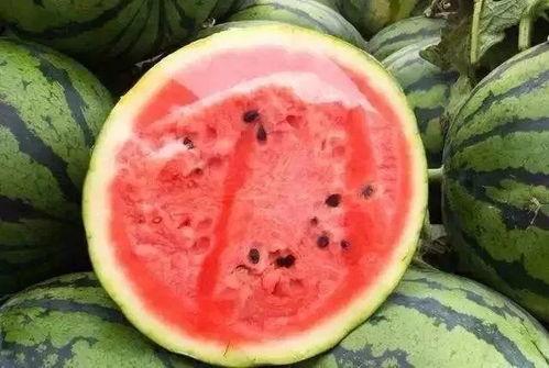 居米吃瓜版,揭秘娱乐圈幕后真相，带你领略明星们的真实生活