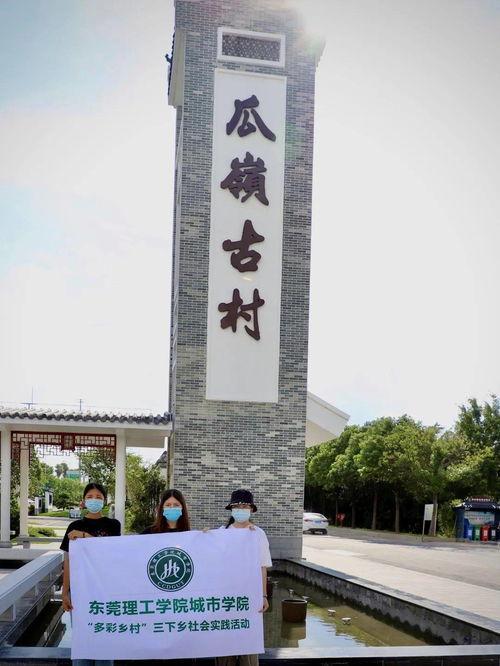 吃瓜沈阳理工,揭秘校园里的“吃瓜”风云