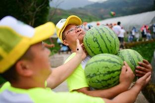 25楼吃瓜,一场别开生面的吃瓜盛宴