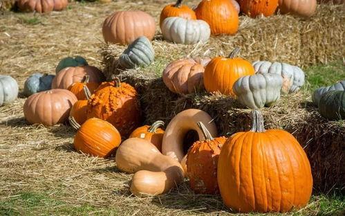 最潮的吃瓜,解锁最热话题，畅享娱乐盛宴