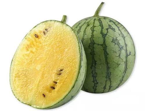 永州大板瓜怎么吃,探索永州大板瓜的多彩食法