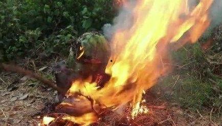 暗黑爆料吃瓜免费,揭秘娱乐圈背后的秘密，免费吃瓜大放送！