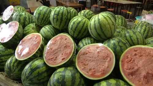 自由吃瓜8啊,揭秘娱乐圈幕后故事