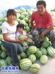 吃瓜小炉,揭秘娱乐圈那些不为人知的幕后故事