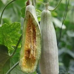 2019年吃的瓜,年度热点事件回顾