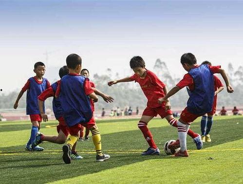 足球现场解说吃瓜,一场场激情赛事，一幕幕吃瓜瞬间