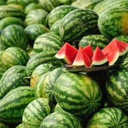 杭州吃瓜传媒可靠,揭秘网红美食背后的故事