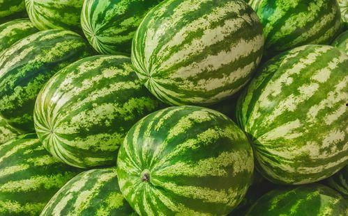 福州吃瓜青蛙,探寻美食背后的故事与传奇